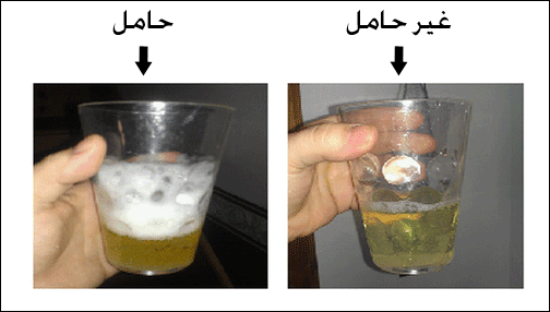 كيف اعرف اني حامل في البيت , بطرق بسيطة وبالسرعة