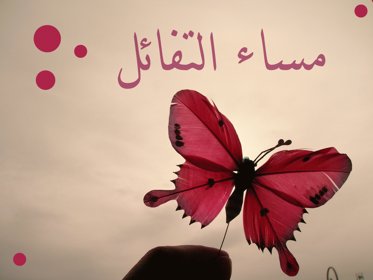 صباح البركة- اجمل الصور الصباحية 6573