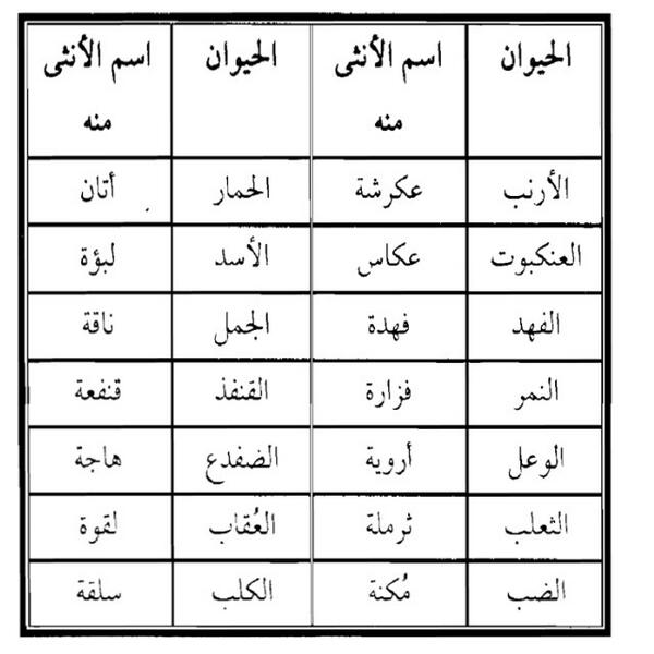 اسماء صغار الحيوانات 12029 1