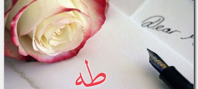 معنى طه , اختلاف اهل العلم حول معنى طه