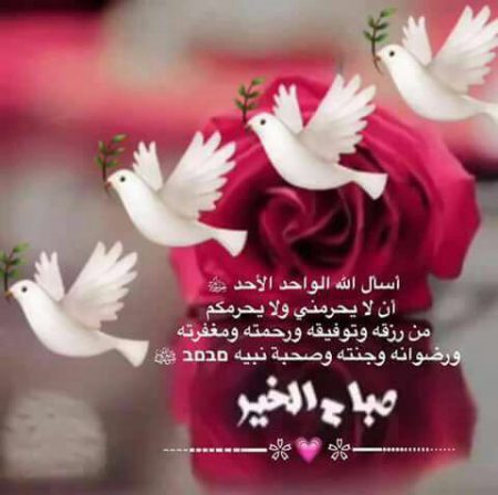 صباح الخير صور - اجمل الصور لعبارة صباح الخير 3867 1