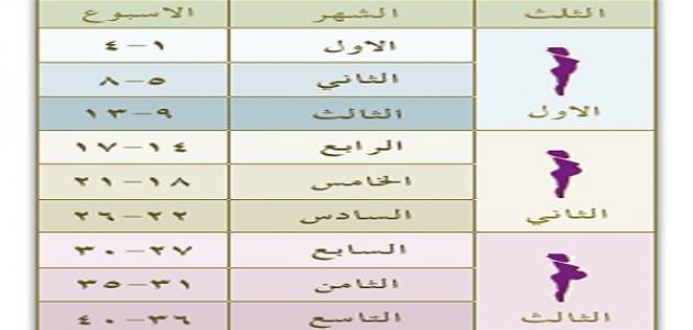 حاسبة الحمل بالاشهر - كيفية حساب الحمل بالاشهر 3819