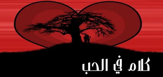 كلمات حلوه عن الحب - كلام الحب الجميل 372 5