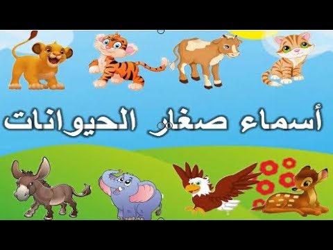 اسماء صغار الحيوانات