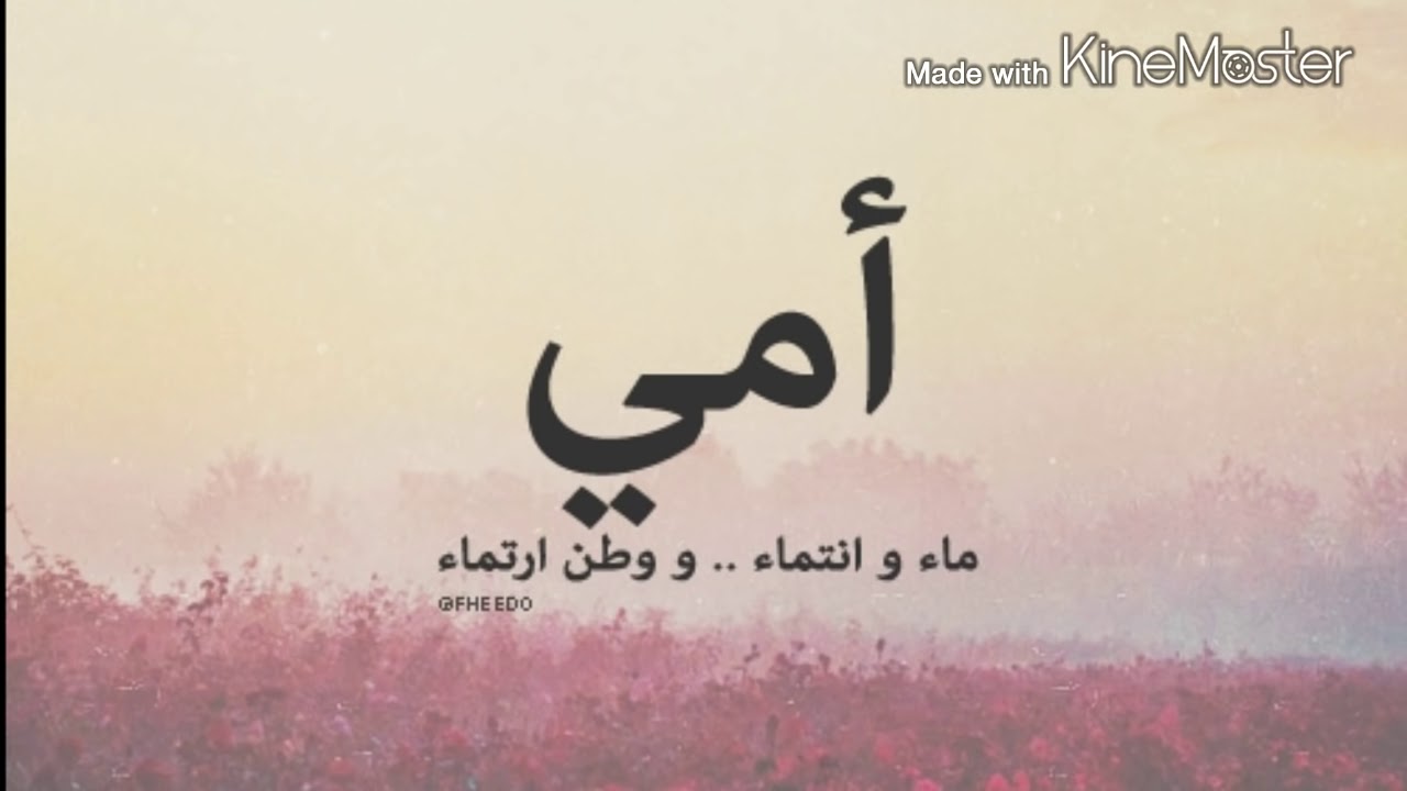 خواطر عن الام - خواطر في حب الام 5133 3