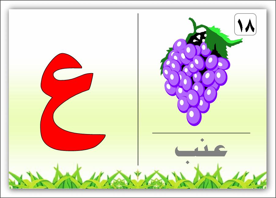 صور حرف ع- كلمات بحرف العين 1252 10