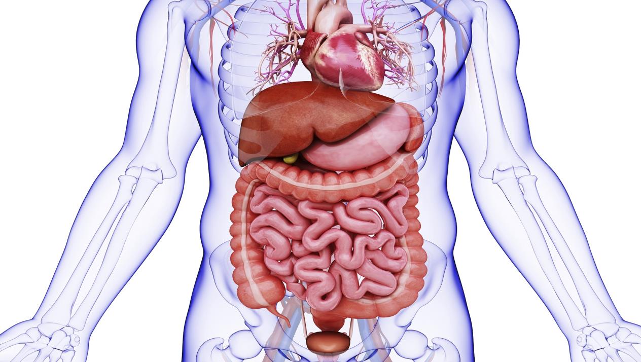 الزائدة الدودية , اغرب المعلومات التي قد تسمعها