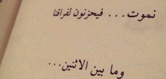 عبارات جميلة وقصيرة - اجمل واحلى الكلام 437 11