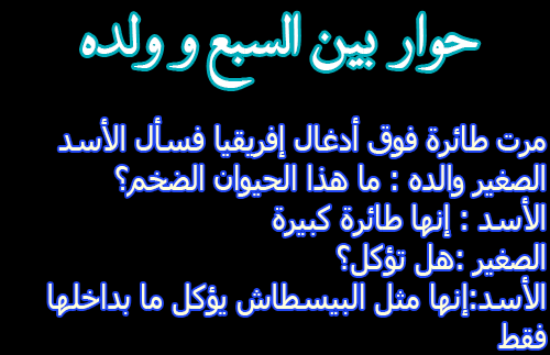 نكت مغربية مضحكة - اجمل الصور المضحكة 2908