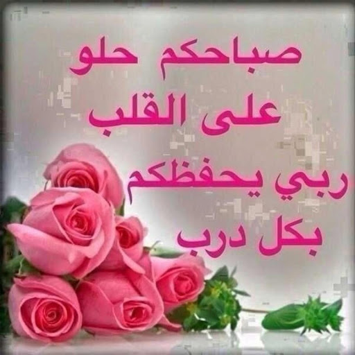 صباح الصباح 5672 6