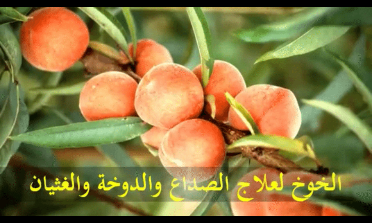 علاج الغثيان - طرق علاج الشعور بالغثيان 4111