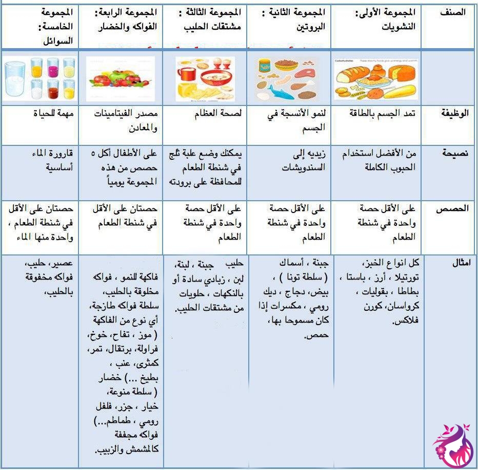 تغذية الحامل في الشهر الاول 1690 2