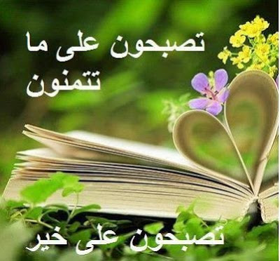 تصبح على خير بالصور - اجمل مساء على ارق عيون 218