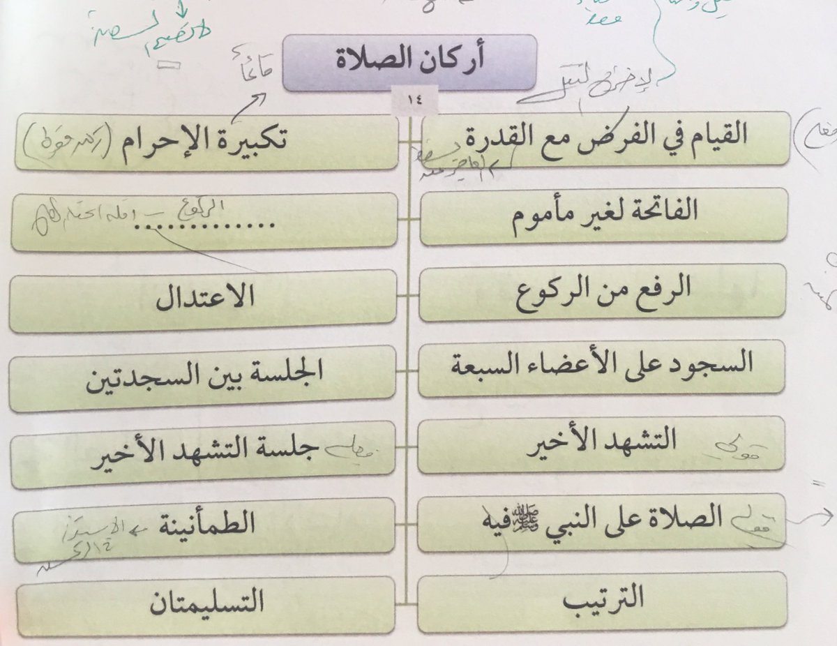 ماهي اركان الصلاة، فرض علينا جميعا 6145 4