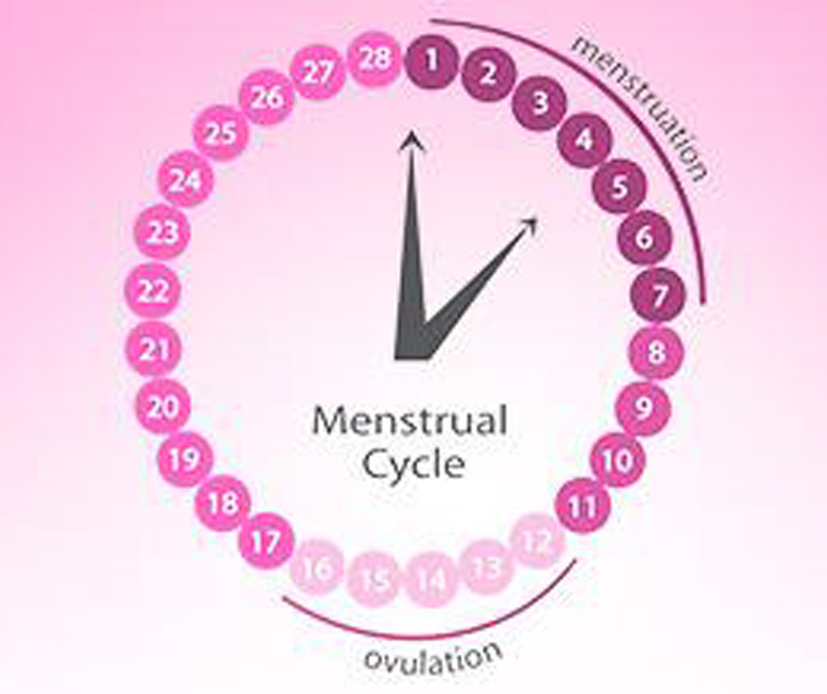متى تكون ايام التبويض - كيفية حساب ايام التبويض 4997 3