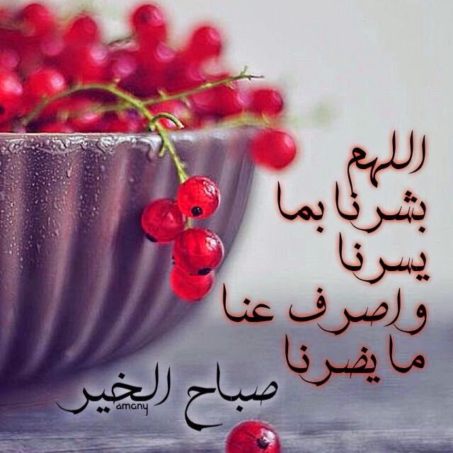 صور صباحيات - صور اجمل صباحيات روعه جدا 3243 6