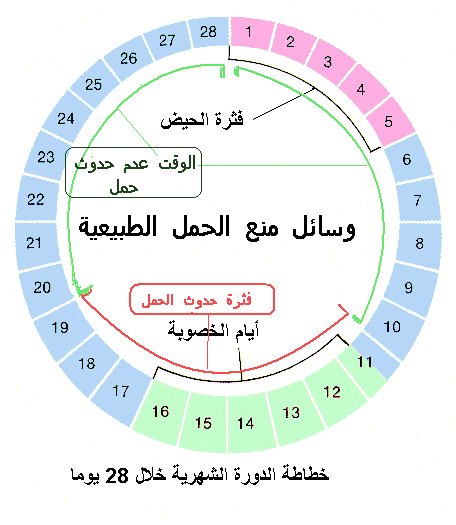 طرق منع الحمل الطبيعية - كيفية منع الحمل طبيعيا 3426