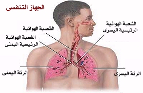 اعراض مرض الكوليرا - تعرف على القليل من الكوليرا 2188 3