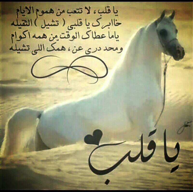 صور لها معنى، للصور معاني 1267 2