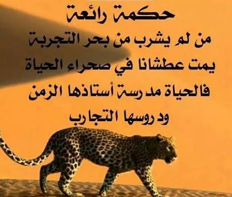 صور حكمة - اجمل الكلمات عن الحكمة 3174 2