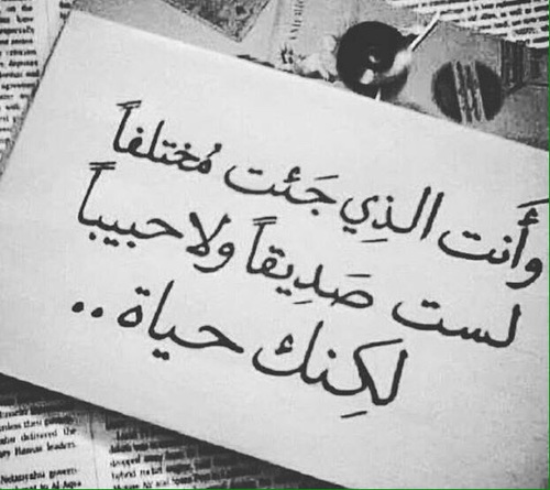 جمل عن الصداقة - الصداقة الشيئ الاجمل 2504 9