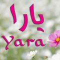 1670 2 معنى اسم يارا - تفسير اسم يارا تهاني كرامي