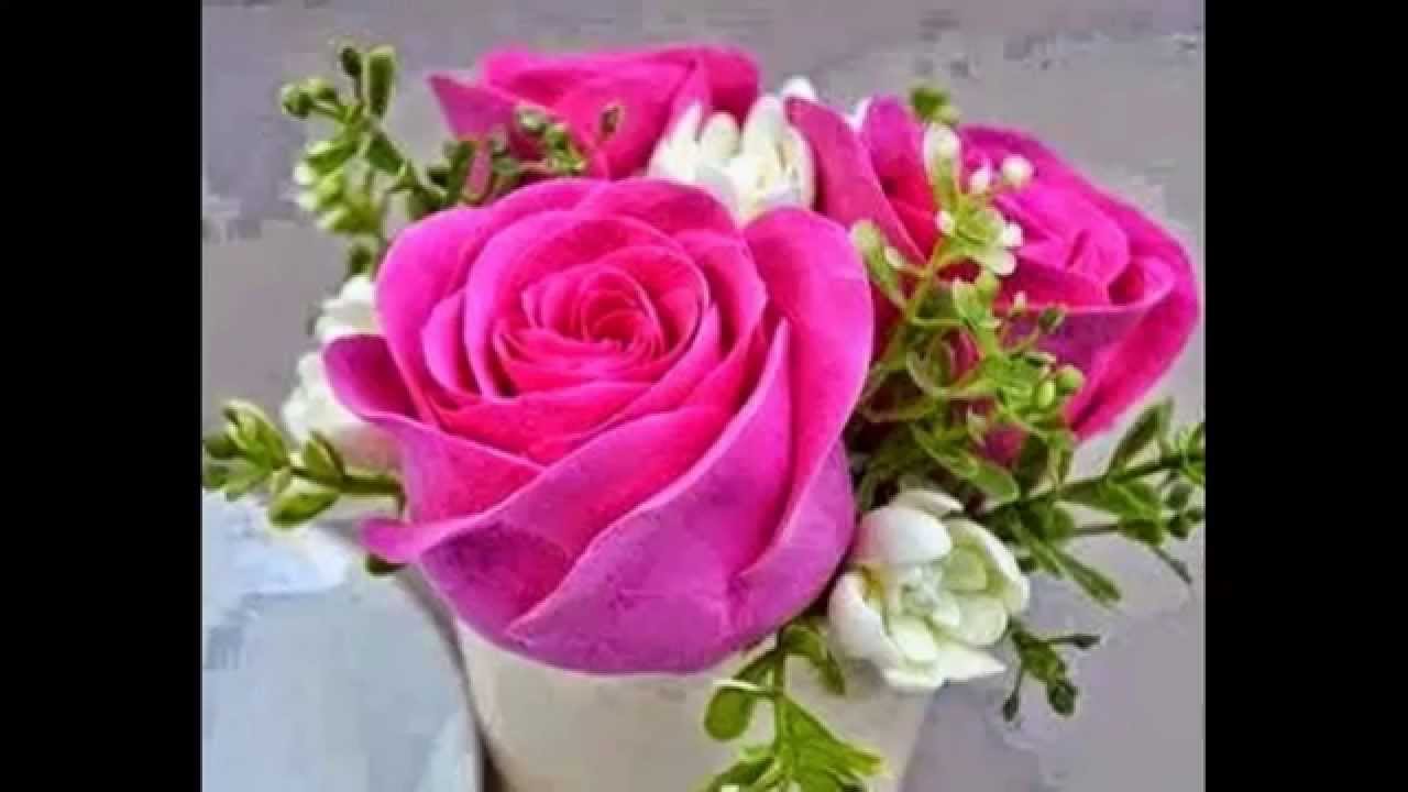 اجمل الورود في العالم اجمل صور الورد احساس ناعم