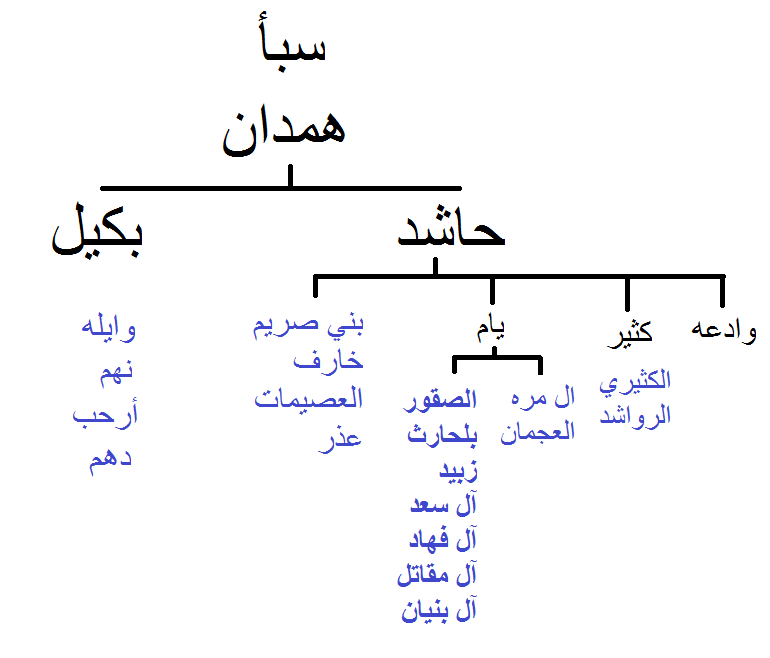 رموز القبائل السعوديه