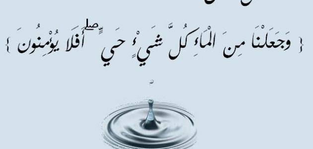 تعبير عن الماء - فوائد الماء لجسم الانسان 1840 3