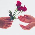 4053 1-Gif صور ورد رومانسي - اجمل صور الورود الرومانسيه دجانة جوهر