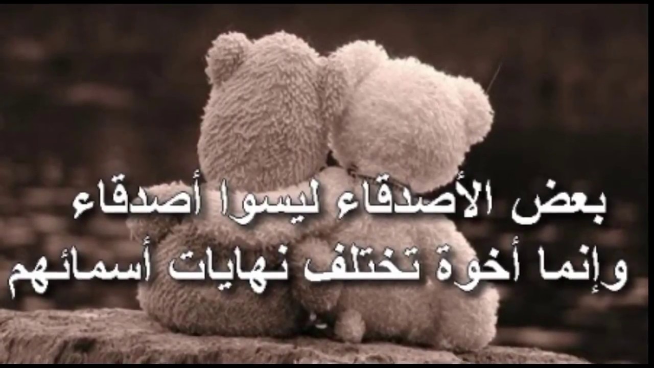 شعر عن الصداقه , عبارات عن الصداقه