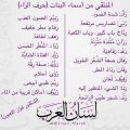 768 3 معاني اسماء البنات - الكثير من المعاني المميزة لاسماء البنات ريم الحارة