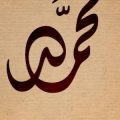 458 2 ما معنى اسم محمد - تفسير اسم محمد الجميل تهاني كرامي