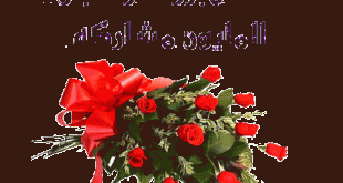 صورة اجمل صور صباحيه , صور صباح الخير