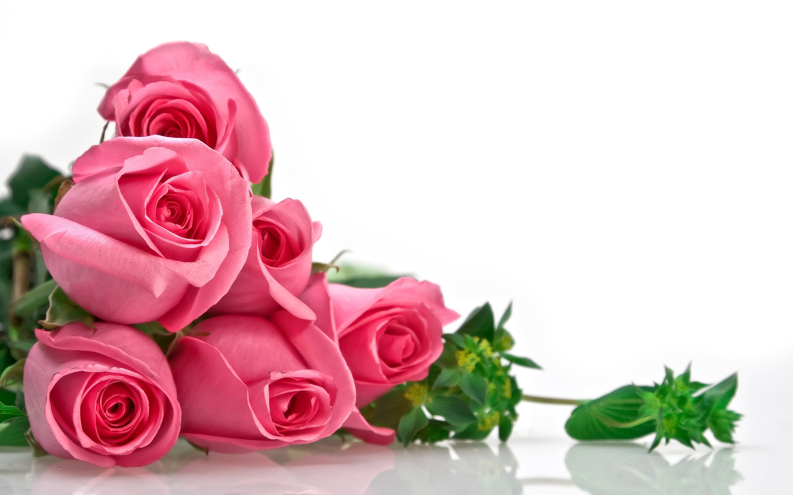 2541 7 صور اجمل الورود - الورود الاروع بالصور الاجمل دجانة جوهر