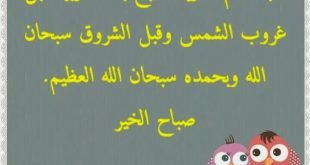 صورة خلفيات صباحيه , صوره لبدايت يومك