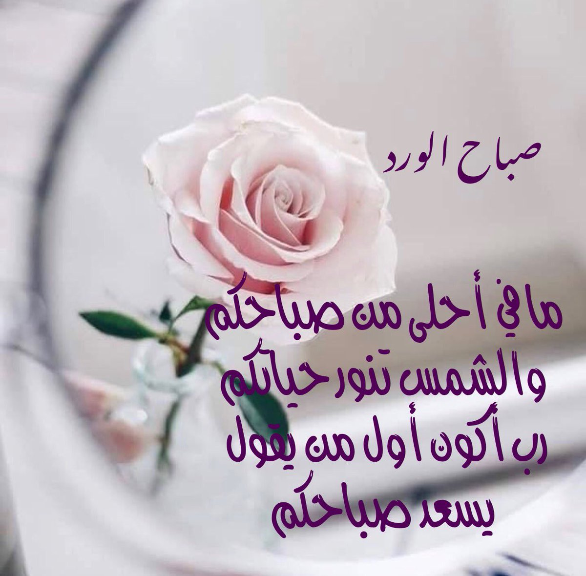 صور صباحية جميلة - ارسلها لاحبابك 1271 3