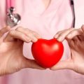 11824 3 علاج القلب بالاعشاب - استخدام الأعشاب لعلاج القلب كاميليا عفتان