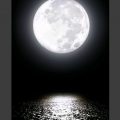5870 8 اجمل صور للقمر- خلفيات ليل للقمر ورده